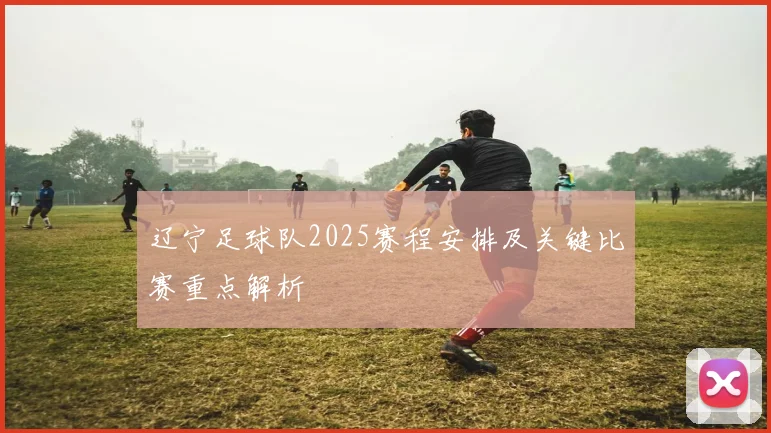 辽宁足球队2025赛程安排及关键比赛重点解析